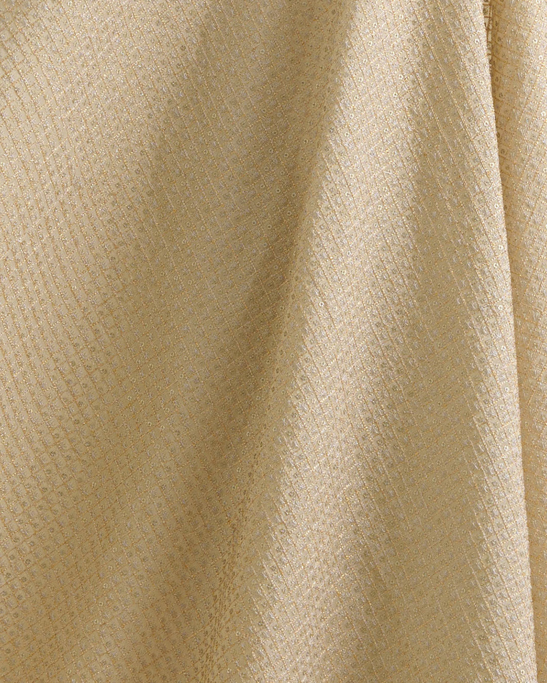 Beige Gold Art Organza Tissue Kasab Checks Fabric