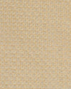 Beige Gold Art Organza Tissue Kasab Checks Fabric