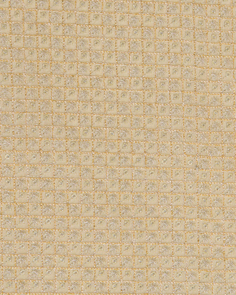 Beige Gold Art Organza Tissue Kasab Checks Fabric