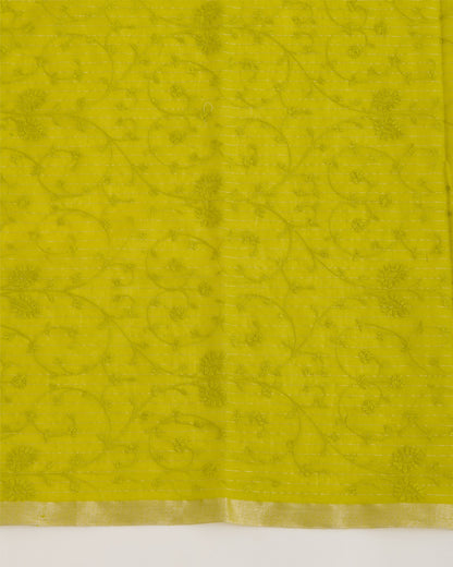 Lime Green Chanderi Zari Stripes Resham Jaal Embroidery Dupatta