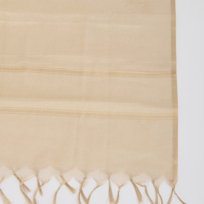 Beige Chanderi Tissue Embroidered Kurta Set with Dupatta