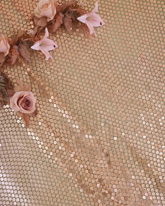 Gold Fish Net with Plastic Sequin Embroidered Fabric