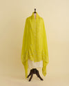 Lime Green Fine Chanderi Dupatta with Thread Sequins & Gota Embroidery