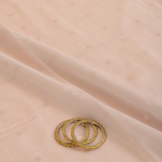 Peach Muga Tissue Silver Buta Fabric