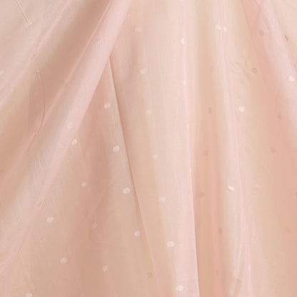 Peach Muga Tissue Silver Buta Fabric