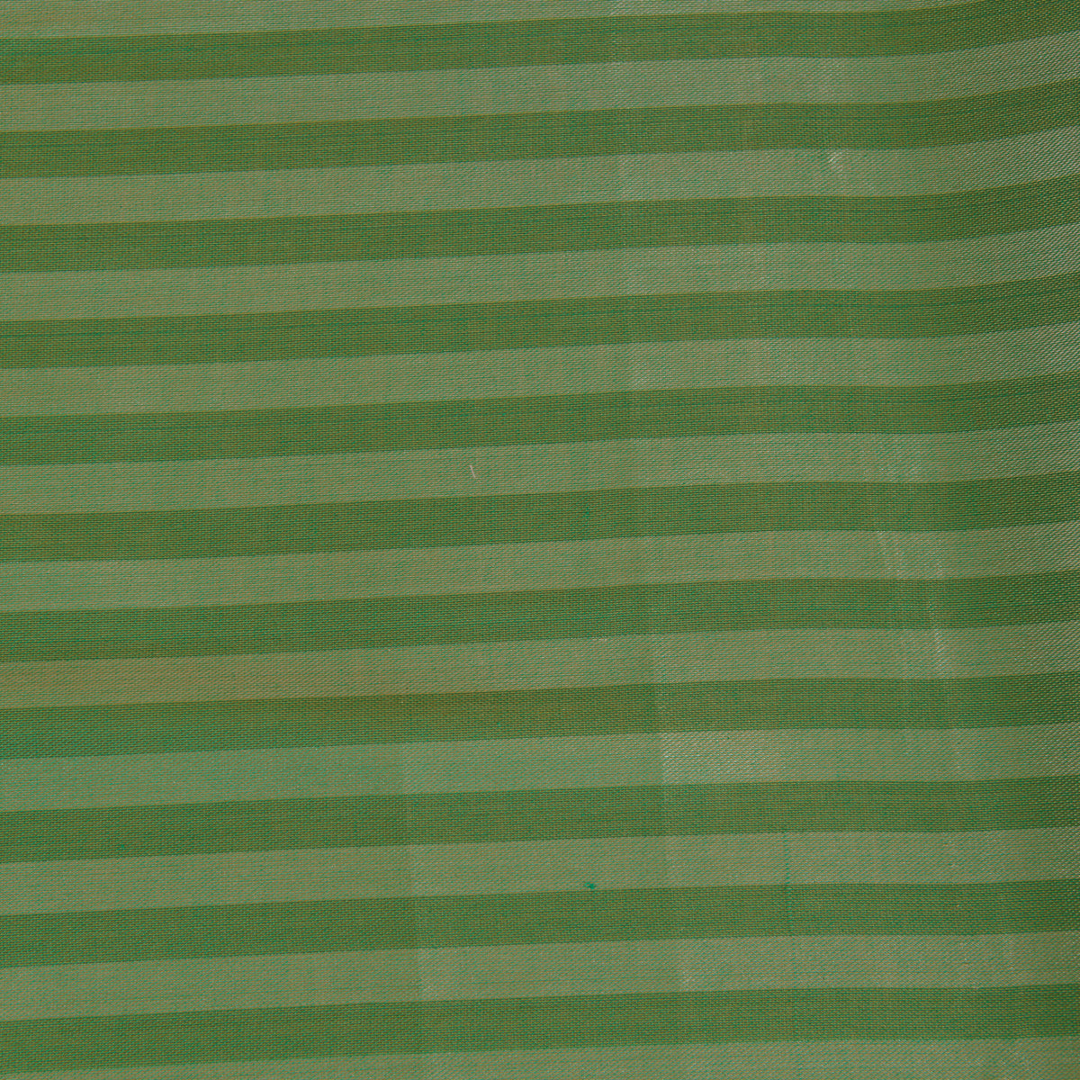 Pista Green Muga Tissue Handloom Fabric