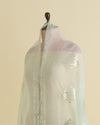 Mint Organza Dupatta with Resham & Gold Sequin Embroidery