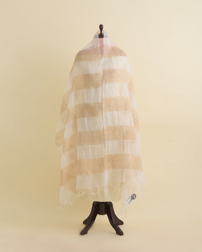 White Organza Gold Crush Zari Patta Dupatta
