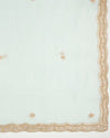 Ice Mint Silk Organza Suit with Pearl & Zardozi Embroidery