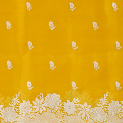 Mango Silk Organza Resham & Zari Embroidered Kurta Set