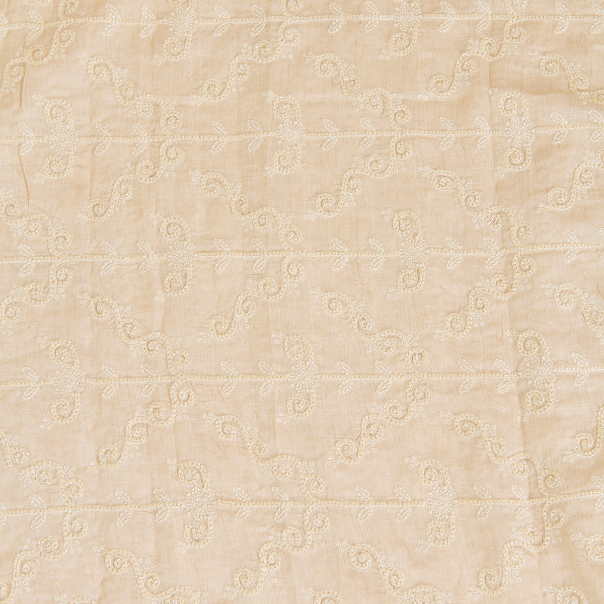 Beige Spun Tussar Thread & Cut-Dana Jaal Embroidered Fabric