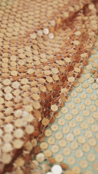 Gold Fish Net with Plastic Sequin Embroidered Fabric