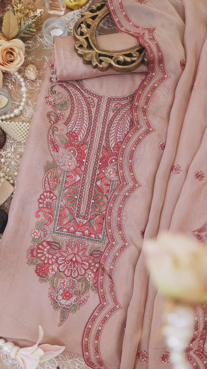 Onion Pink Organza Suit with Cut Dana Resham Zari Embroidery Set